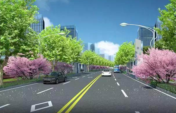 道路綠地設計原則與樹(shù)種選擇